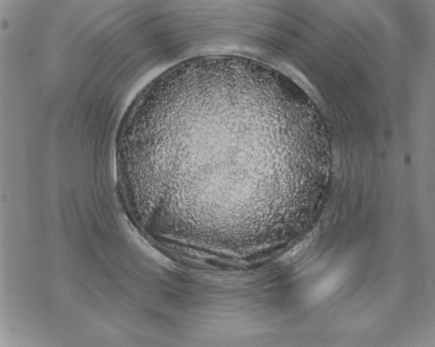 X0000071331036200607141900