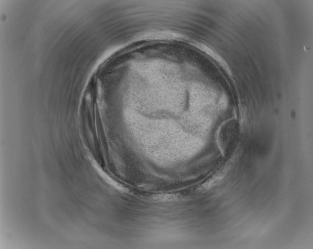 X0000071331037200607141900