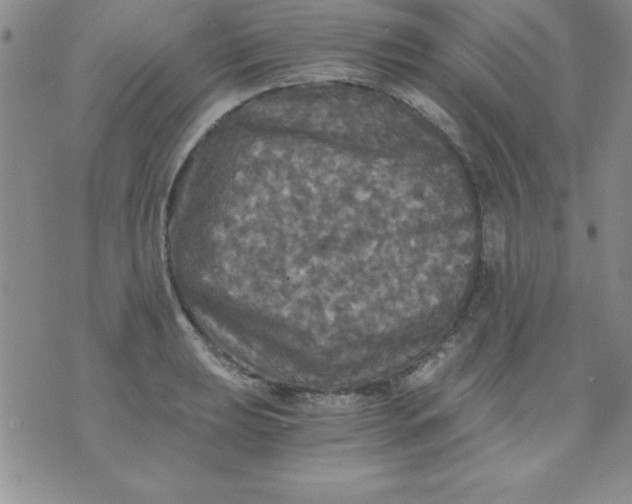 X0000071331039200607141900