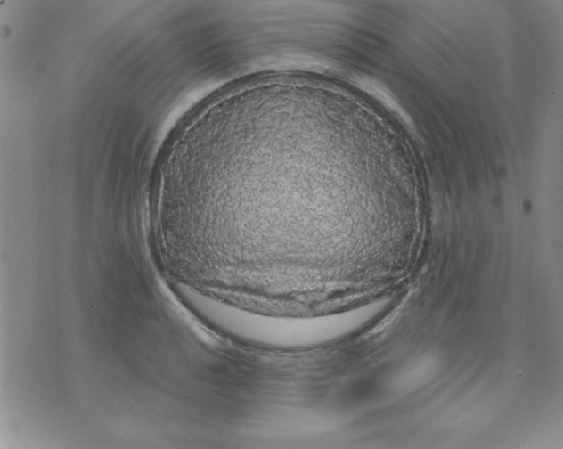 X0000071331040200607141900