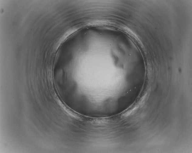 X0000071331041200607141900