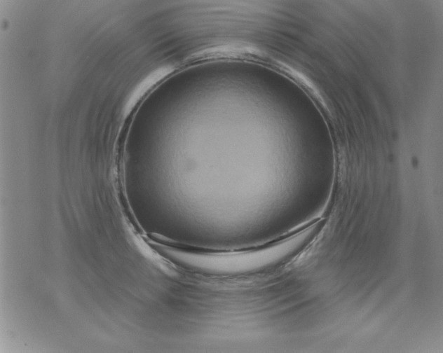 X0000071331042200607141900