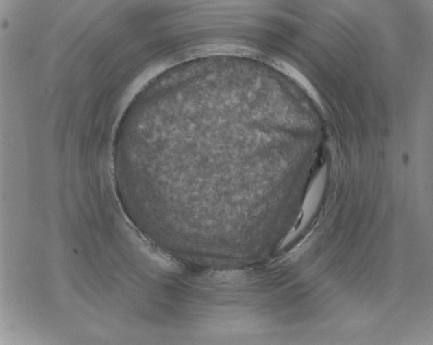 X0000071331043200607141900