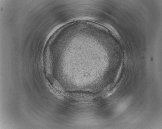 X0000071331044200607141900