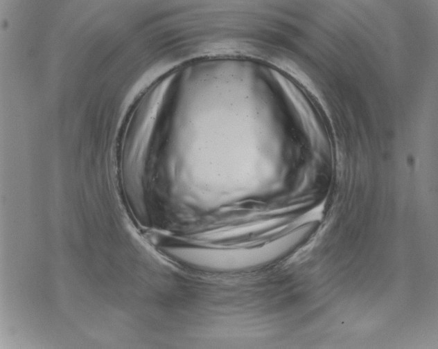 X0000071331045200607141900