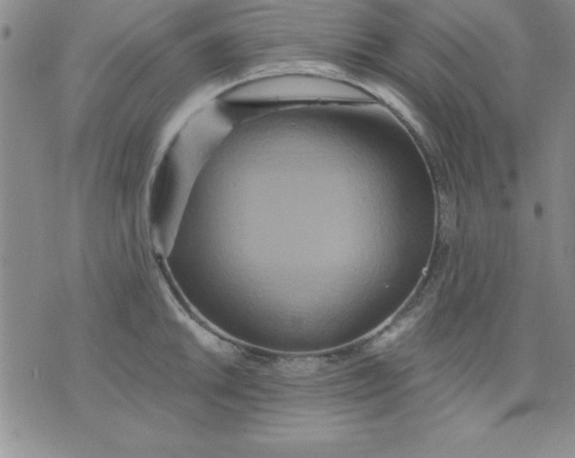 X0000071331046200607141900