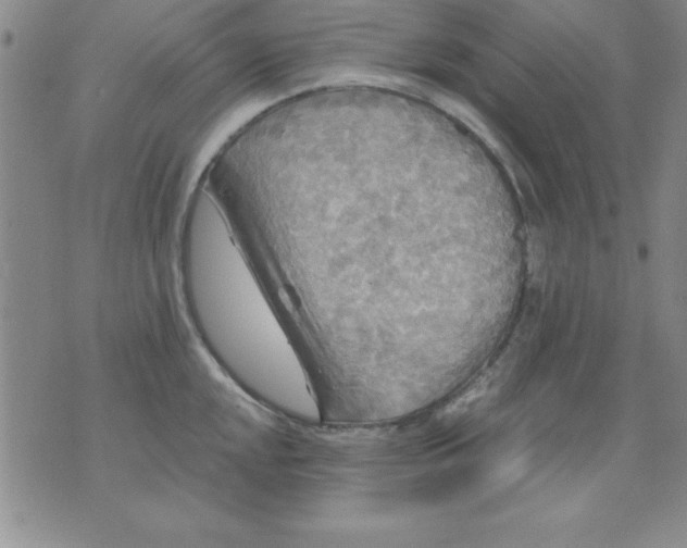 X0000071331048200607141900