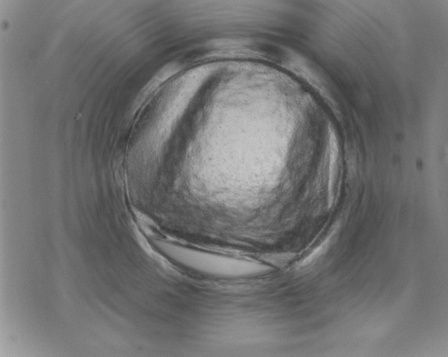 X0000071331049200607141901