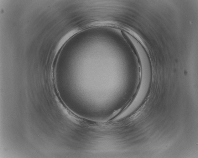 X0000071331050200607141901