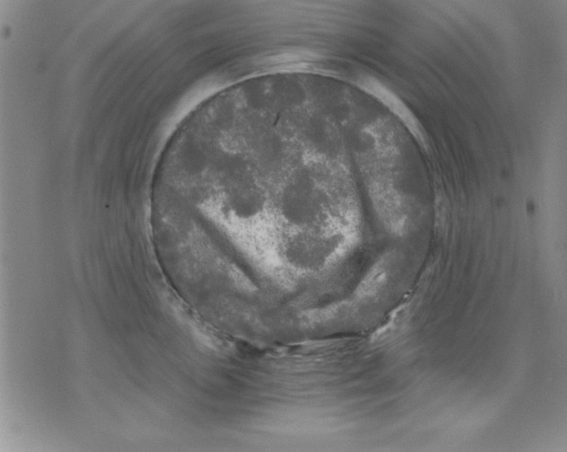 X0000071331051200607141901