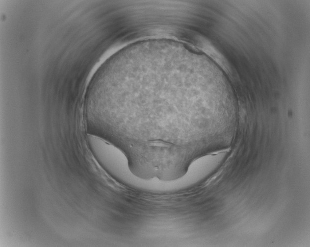 X0000071331052200607141901