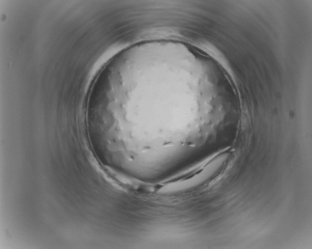 X0000071331053200607141901