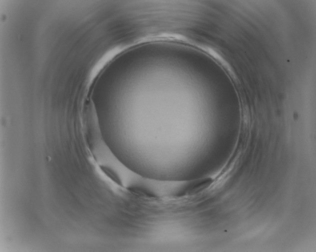 X0000071331054200607141901