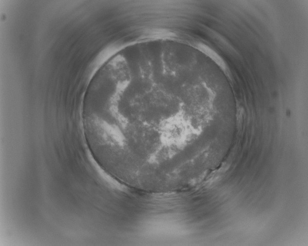 X0000071331055200607141901