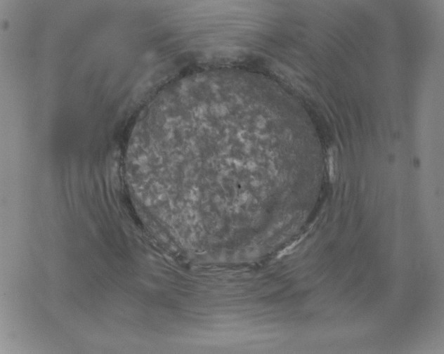 X0000071331059200607141900