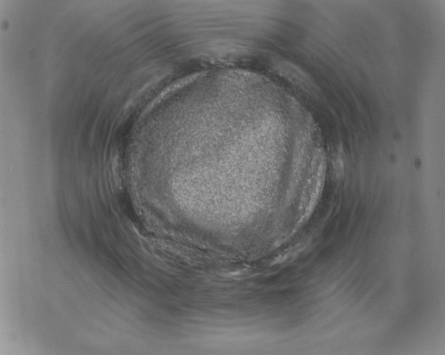 X0000071331060200607141900