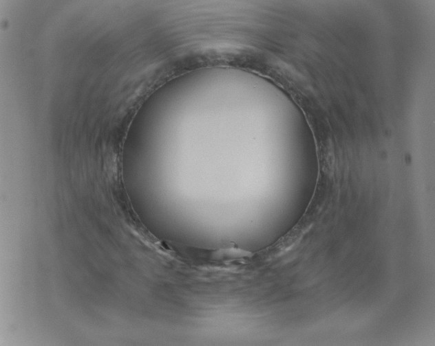 X0000071331061200607141900