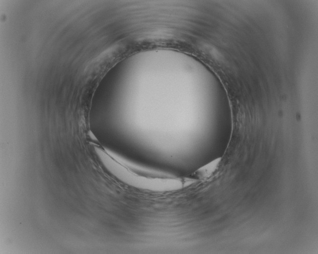 X0000071331062200607141900