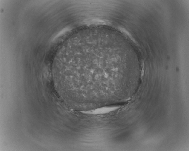 X0000071331063200607141900