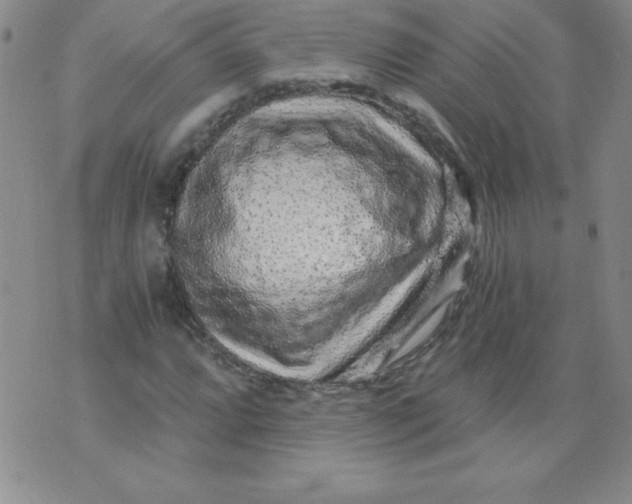 X0000071331064200607141900