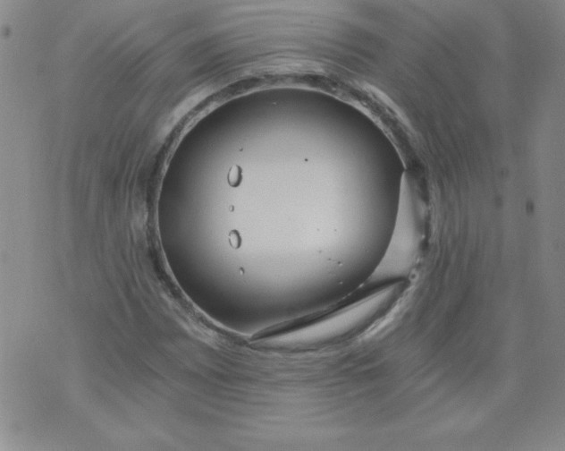 X0000071331065200607141900