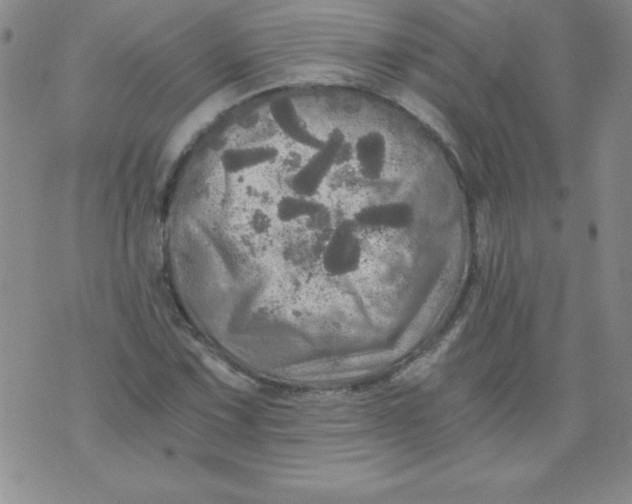 X0000071331067200607141900