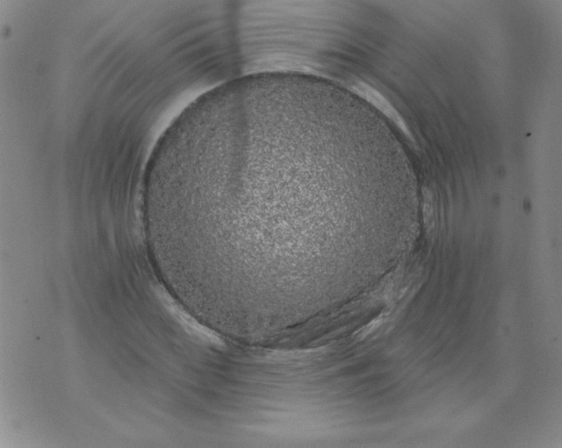 X0000071331068200607141900