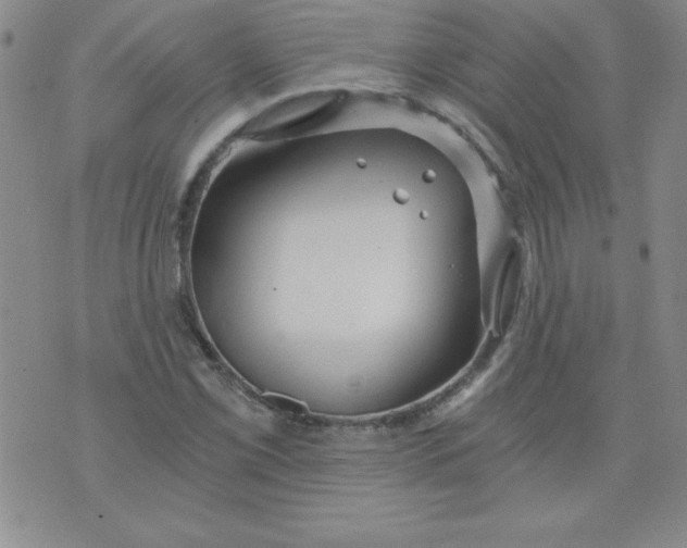 X0000071331069200607141900