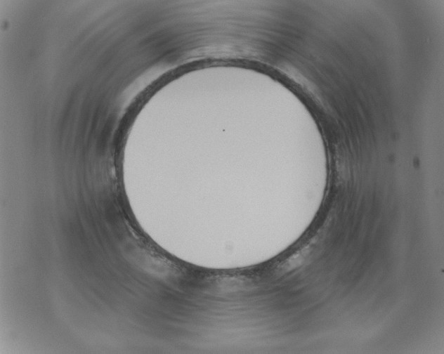 X0000071331070200607141900