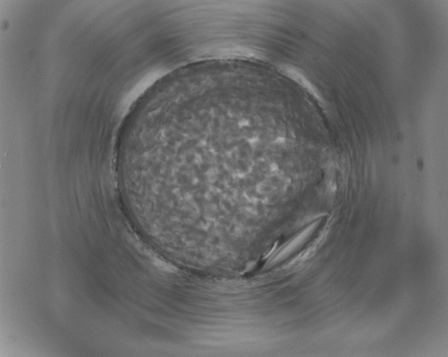 X0000071331071200607141900