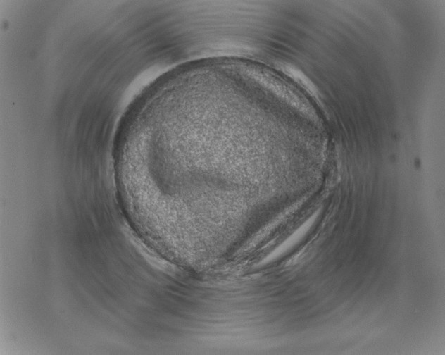 X0000071331072200607141900