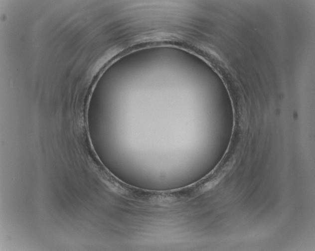 X0000071331073200607141900