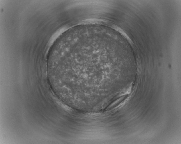 X0000071331075200607141900