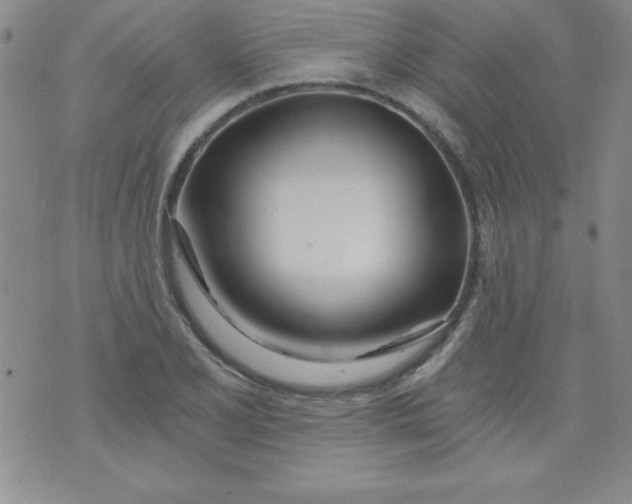 X0000071331077200607141900