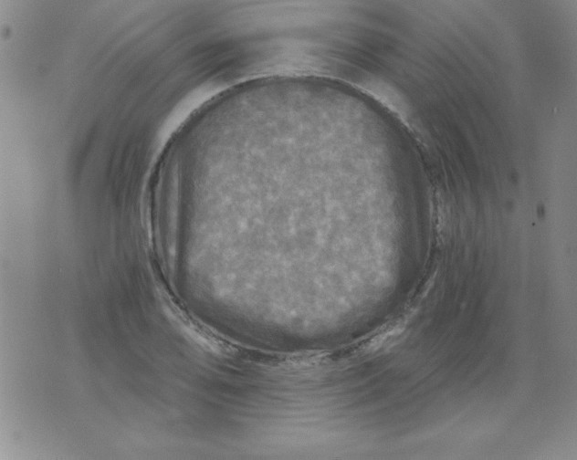 X0000071331078200607141859