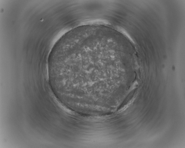 X0000071331079200607141859