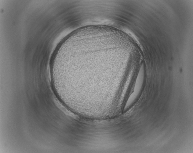 X0000071331080200607141859