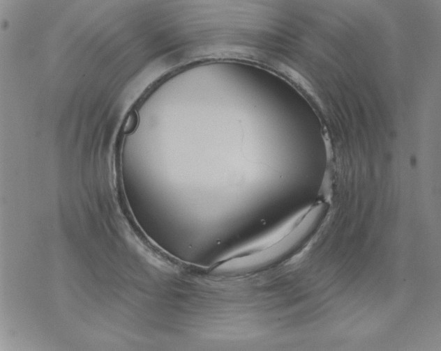 X0000071331082200607141859