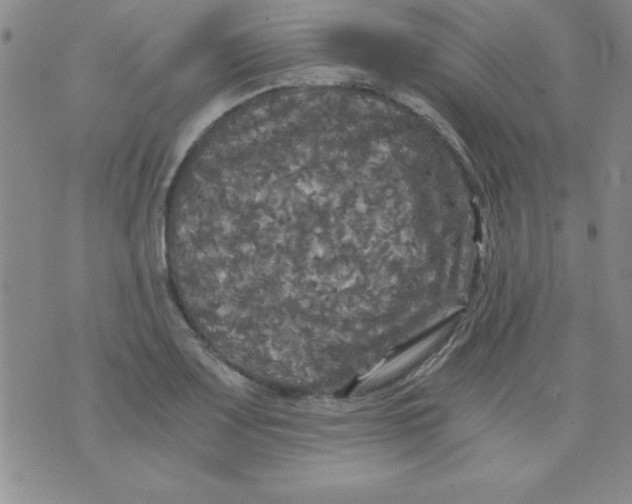 X0000071331083200607141859