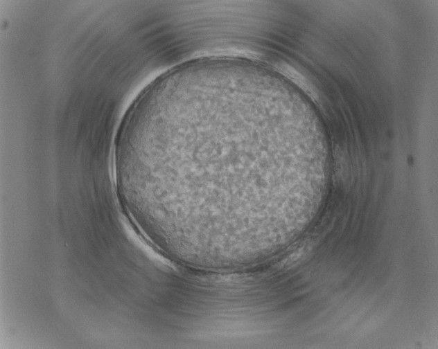 X0000071331084200607141859