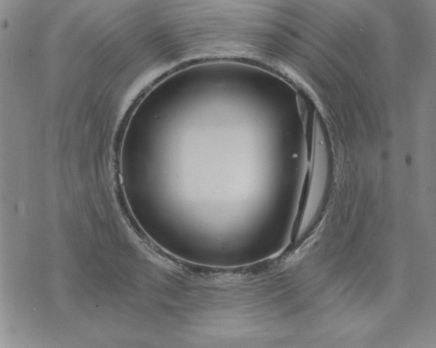 X0000071331085200607141859