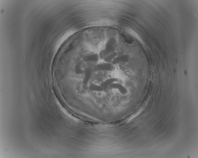 X0000071331087200607141859