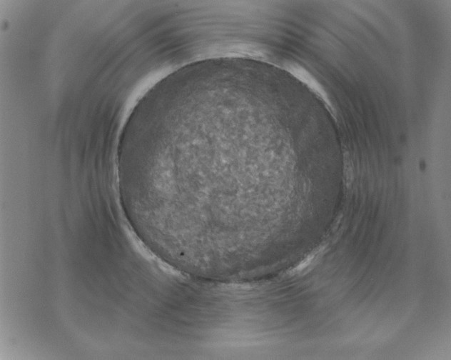 X0000071331088200607141859