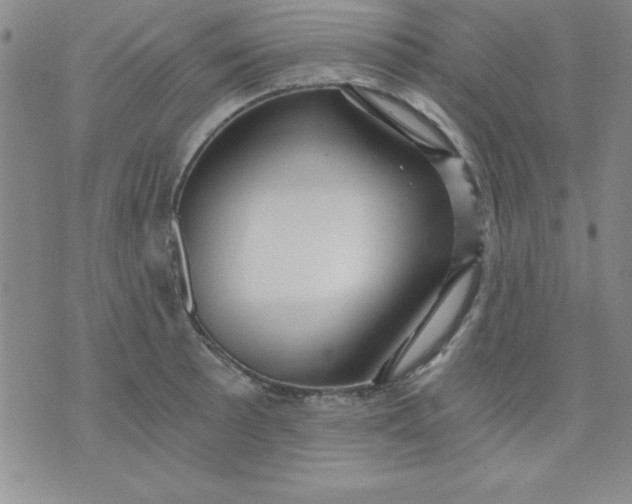 X0000071331089200607141859