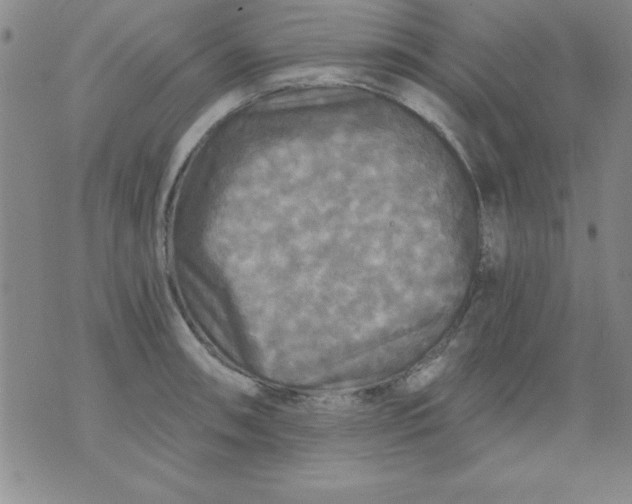 X0000071331090200607141859