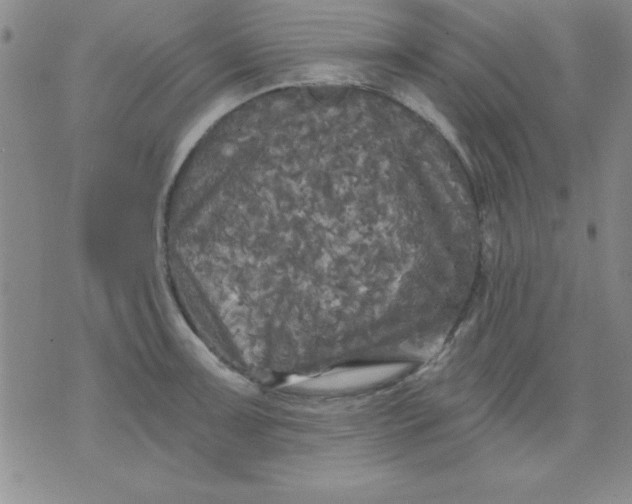 X0000071331091200607141859