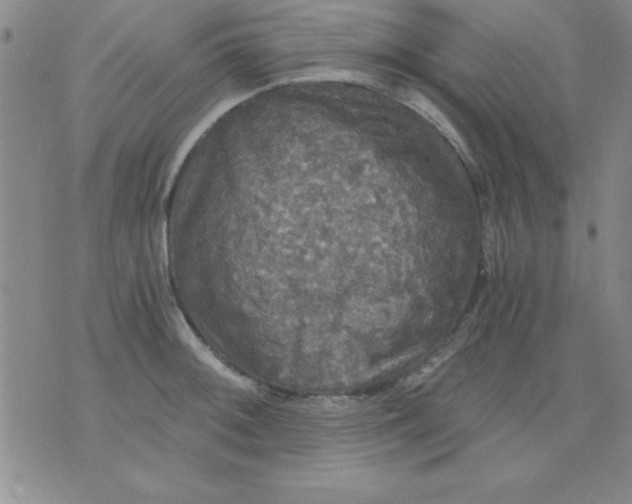 X0000071331092200607141859