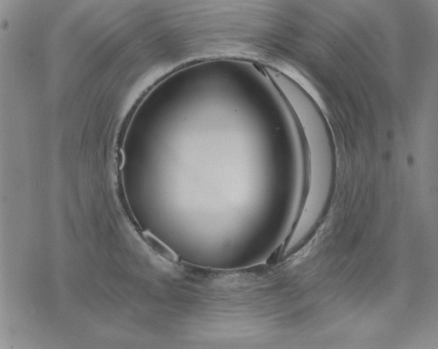 X0000071331093200607141859