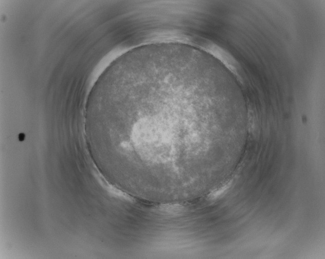 X0000071331094200607141859