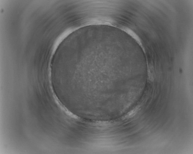 X0000071331096200607141859